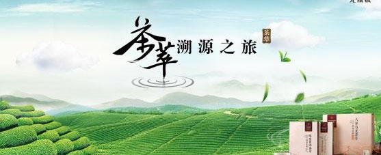 茶葉行業(yè)二維碼溯源防偽解決方案